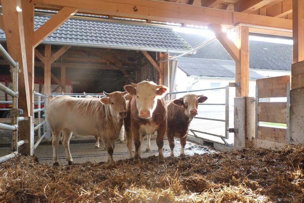 Landgut Wagnerfeld Altmünster Exterior foto