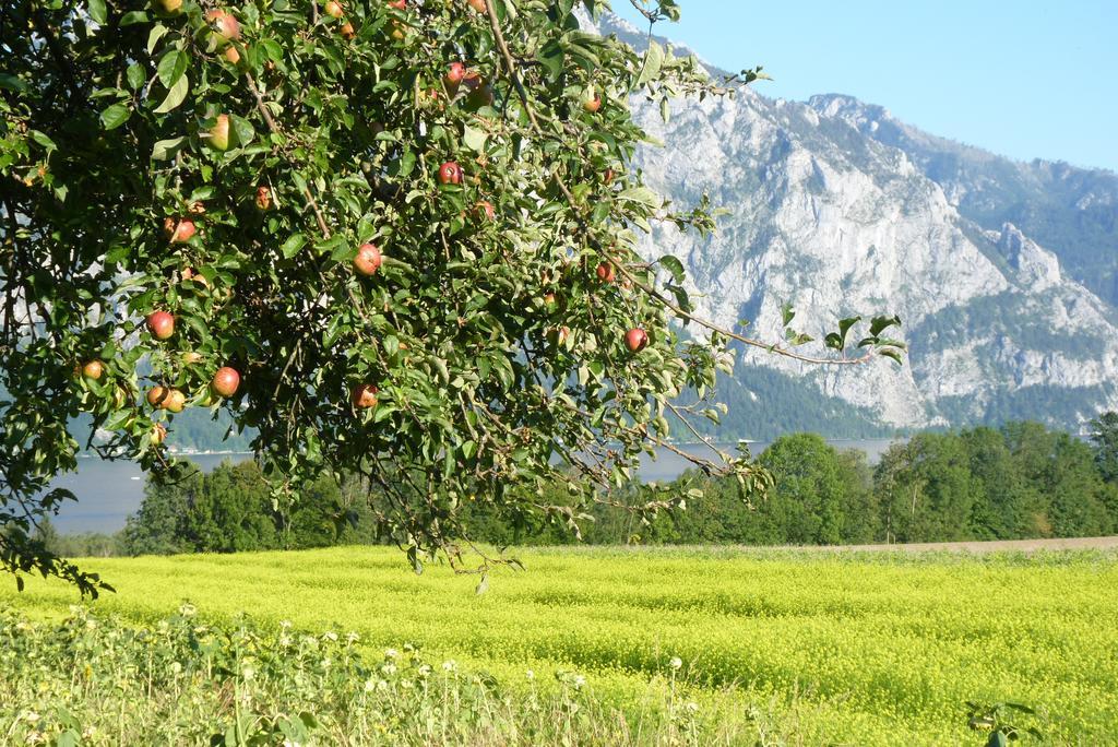 Landgut Wagnerfeld Altmünster Exterior foto